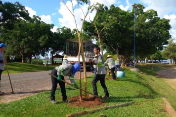Prefeitura realiza plantio de 50 mudas nativas e revitaliza espaços públicos do município.